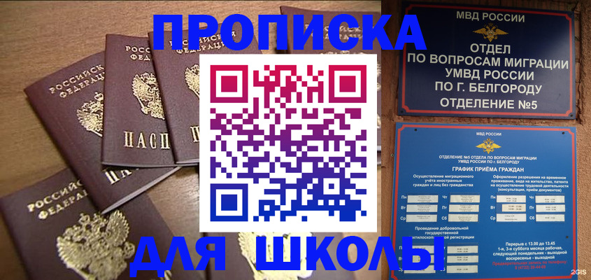 прописка гарантия в Кольчугино